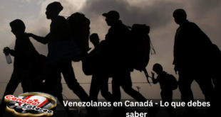 Venezolanos-en-Canadá-Lo-que-debes-saber