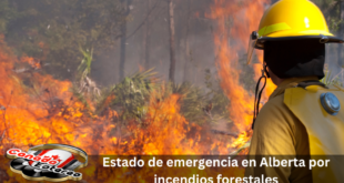Estado-de-emergencia-en-Alberta-por-incendios-forestales