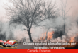 Ottawa ayudará a los afectados por incendios forestales.