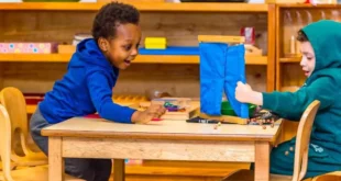 Embracing the Montessori Difference Why Modern Parents are Choosing Montessori Education